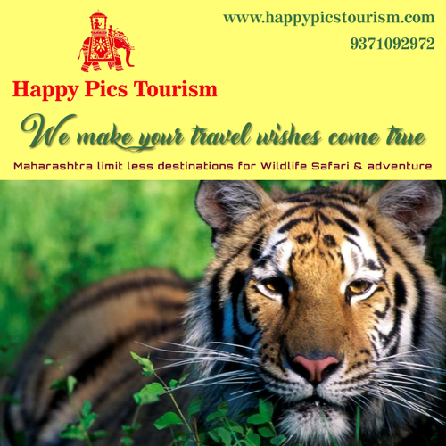 Happy Pics Tourism