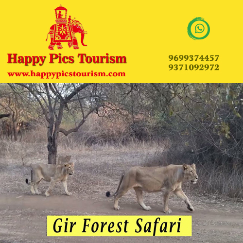 Happy Pics Tourism