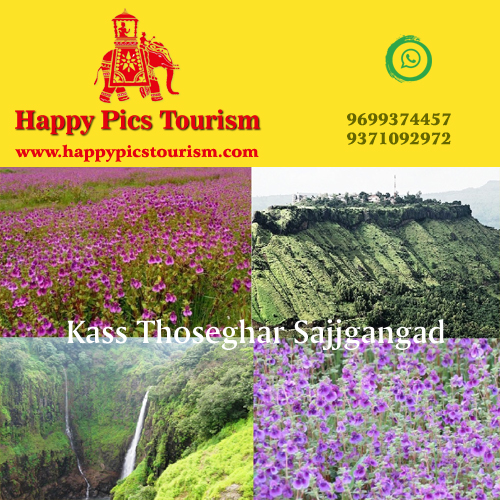 Happy Pics Tourism