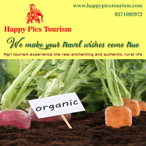 Happy Pics Tourism