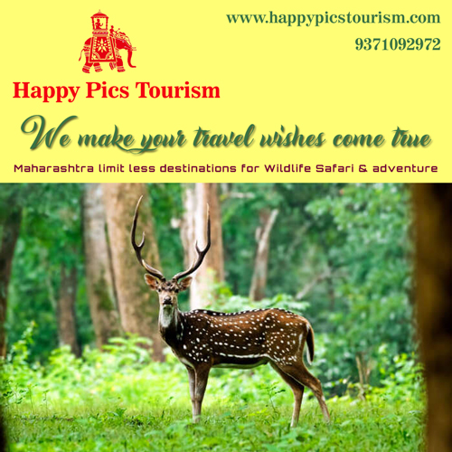 Happy Pics Tourism
