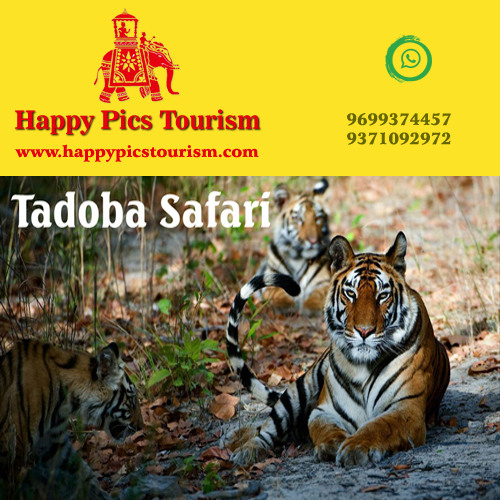 Happy Pics Tourism