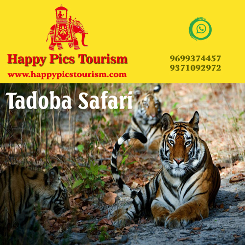 Happy Pics Tourism